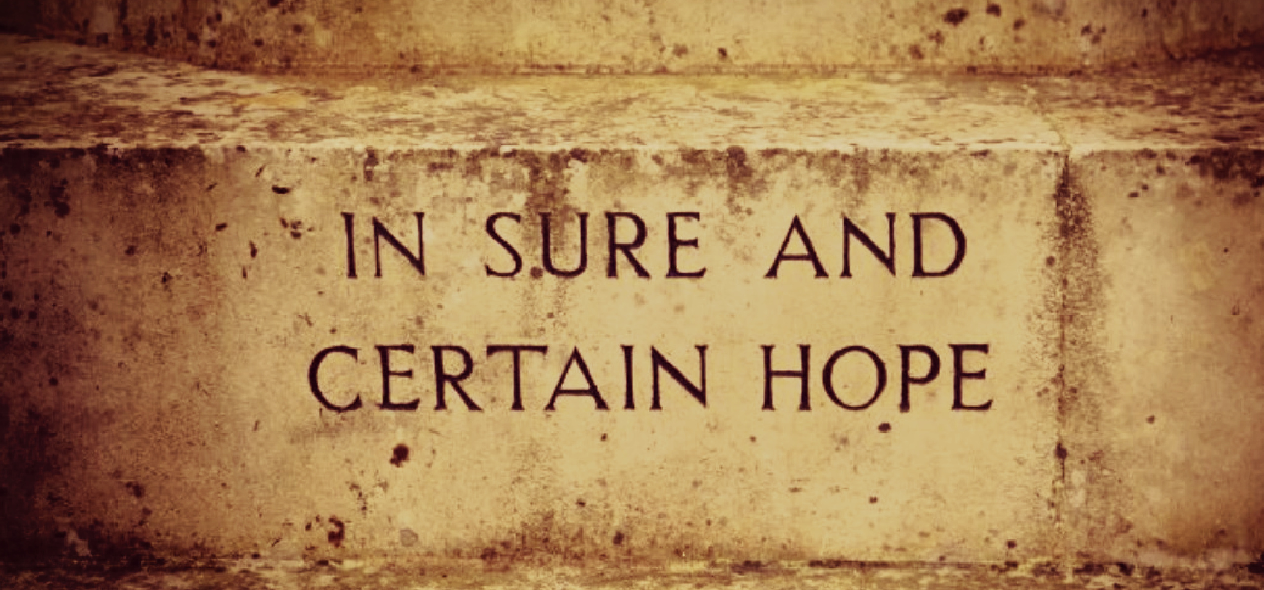 Featured image for “Holding Fast to a Certain Hope”