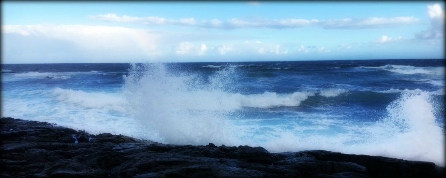 Featured image for “Surrender”