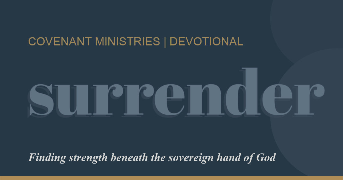 Featured image for “Surrender”
